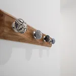 Animalia Διαμέρισμα