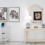 Animalia Διαμέρισμα Καντίζ