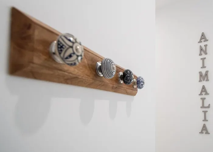 Animalia Apartamento