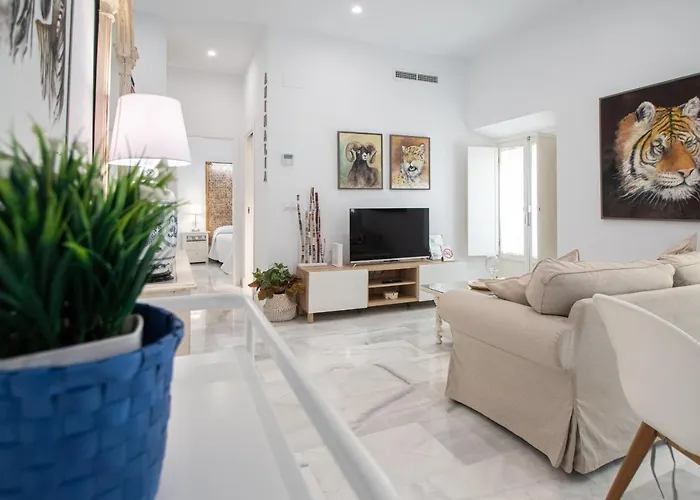 Apartment Animalia Cadiz